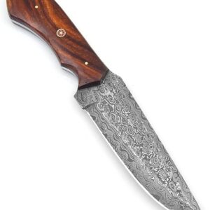 Handmade Damascus Steel Hunting Bowie Knife with Leather Sheath | 11'' Hand Forged Full Tang Fixed Blade Damascus Skinning Knives For Men and Women | EDC Razor Sharp Blade Bushcraft Camping Survival Knifes with Belt loop for Vertical and Horizontal Carry ,Rose Wood Handle 6063